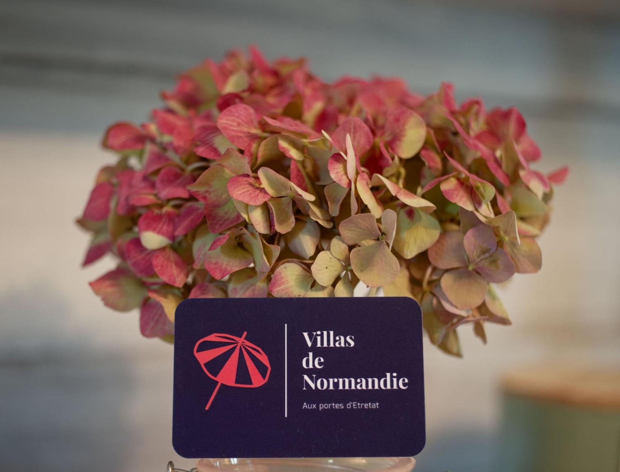 La Fleur De Sel D'Etretat Villa Bordeaux-Saint-Clair Eksteriør bilde